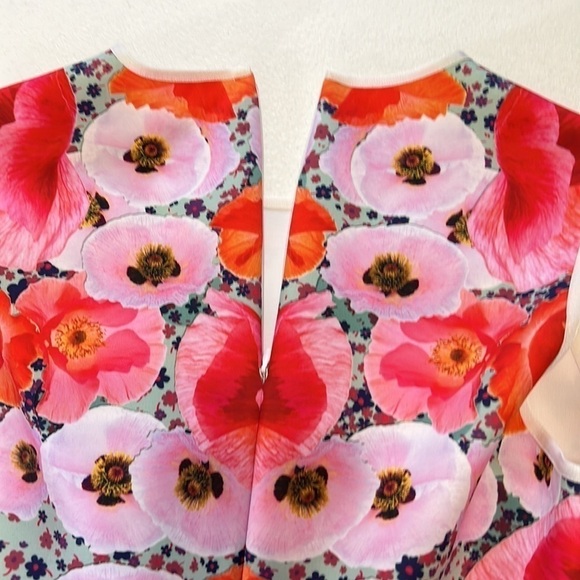 Clover Canyon Poppy Blossoms Neoprene Dress Sz M - Picture 7 of 10